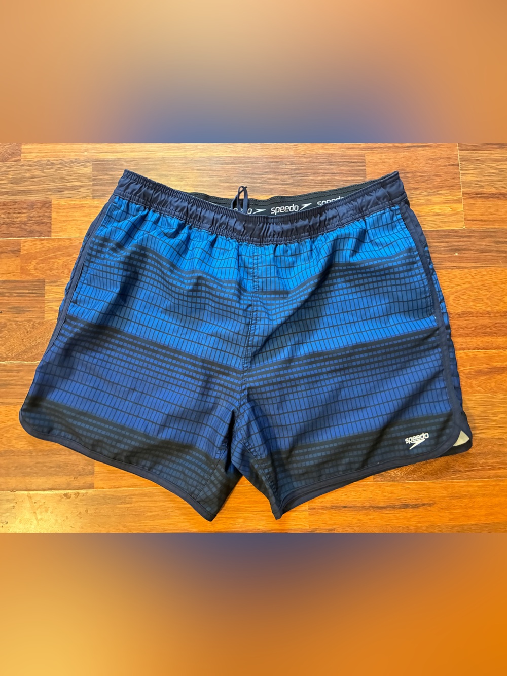 Speedo Men’s Blue and Black Striped Swim Trunks